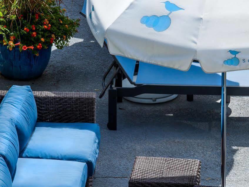 Sandpiper Beach Club Cape May Bagian luar foto